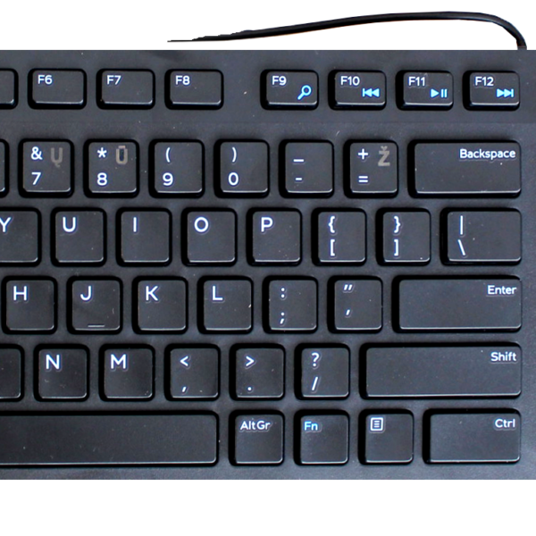 Dell | KB216 | Keyboard | Wired | Lithuanian | Black
