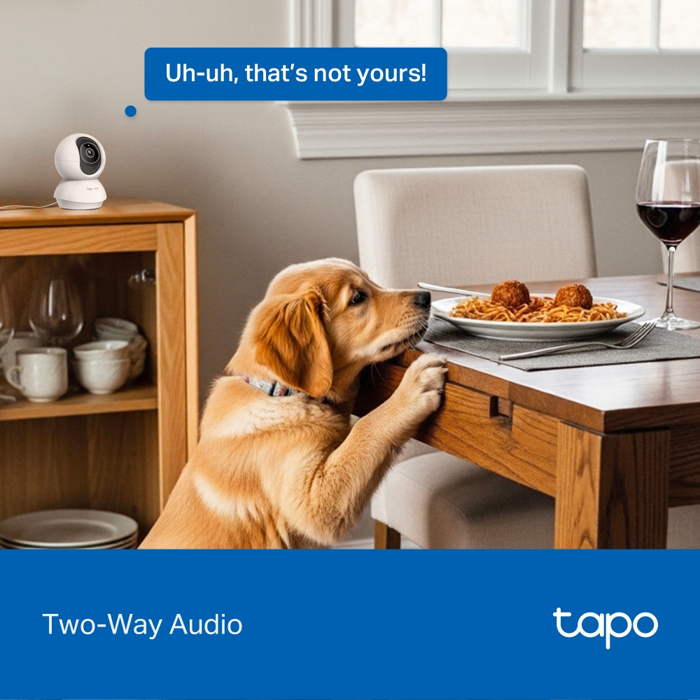 TP-LINK | Tapo C250 | Pan/Tilt AI Home Security Wi-Fi Camera | PTZ | 8 MP | 4mm/F1.6 | H.265 | MicroSD Card up to 512 GB - Image 18