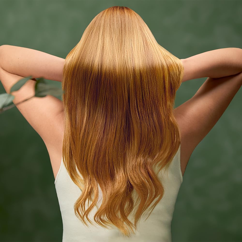 Cecotec Hair dryer | IoniCare Dry&Keratin Olive | 1200 W | Ionic function | Number of temperature settings 1 | Green - Image 5