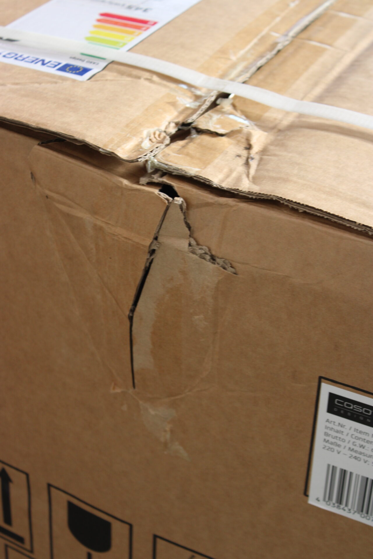 SALE OUT. | Caso Barbecue Cooler | S-L | Energy efficiency class F | Free standing | Black | DAMAGED PACKAGING, DENTED TOP AND BACKSIDE - Image 5