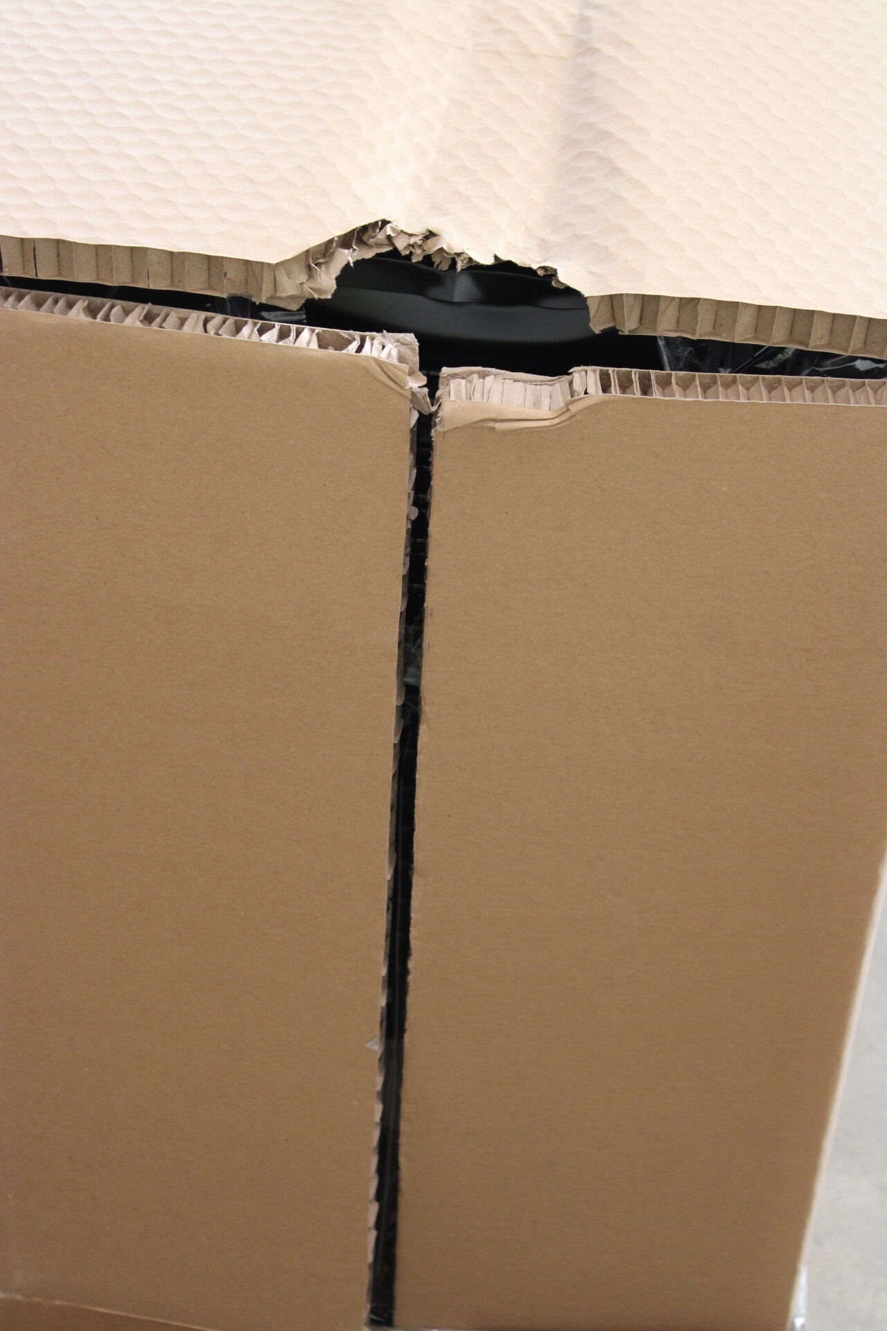 SALE OUT. | Caso Barbecue Cooler | S-L | Energy efficiency class F | Free standing | Black | DAMAGED PACKAGING, DENTED TOP AND BACKSIDE - Image 6