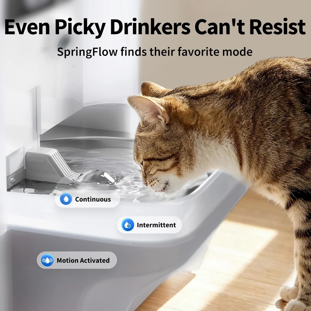 PETKIT Pet Water Fountain with Camera | EverSweet Ultra | Capacity 5 L | Material ABS, 304 Stainless Steel, PP, PPO | White - Image 9